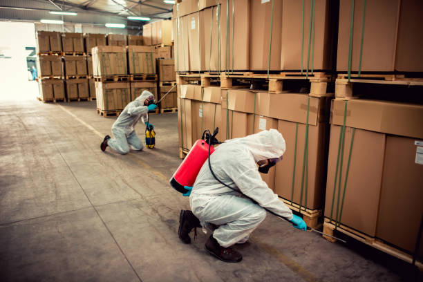 Best Ant Control Services  in Wayne City, IL