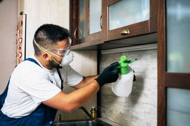 Best Wasp Removal Services  in Wayne City, IL