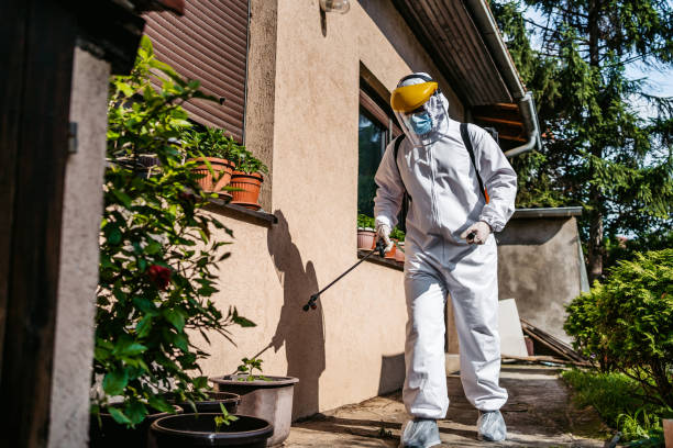 Best Affordable Pest Control Services  in Wayne City, IL