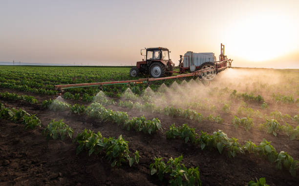 Best Commercial Pest Control Services  in Wayne City, IL